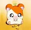 はむたろうのプロフィール画像