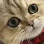 Rのプロフィール画像