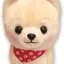ぞうちゃんのプロフィール画像