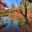 石橋晶穂のプロフィール画像