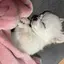 nのプロフィール画像