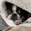 ふくちゃんのプロフィール画像