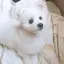 monaのプロフィール画像