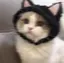 さやかのプロフィール画像