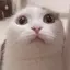 momo:3のプロフィール画像