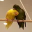 みゆきのプロフィール画像