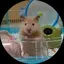 はむのプロフィール画像