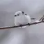 理沙のプロフィール画像