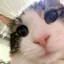 うつぼのプロフィール画像
