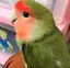 なつこのプロフィール画像