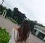 くぅのプロフィール画像