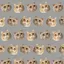 ミネラルプラネットのプロフィール画像