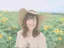 chisatoのプロフィール画像