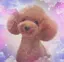あーちんのプロフィール画像