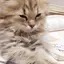 ゆずのプロフィール画像