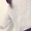 ありのプロフィール画像