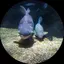naのプロフィール画像