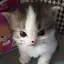 ゆのプロフィール画像