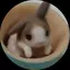 ちびママのプロフィール画像