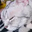 みゆのプロフィール画像