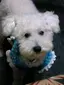 MIYUKIのプロフィール画像