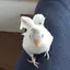 とりさんのプロフィール画像