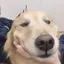 美来のプロフィール画像