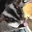 totoのプロフィール画像
