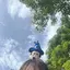 こめのプロフィール画像