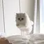 めちるのプロフィール画像