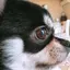 Mのプロフィール画像