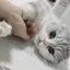 Sのプロフィール画像
