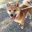 stmのプロフィール画像