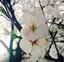 kannaのプロフィール画像