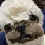 夢佳のプロフィール画像