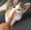 ひなたのプロフィール画像