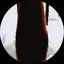 もなのプロフィール画像