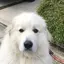 tokkoのプロフィール画像