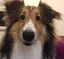すーみんのプロフィール画像