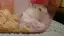 まやんのプロフィール画像