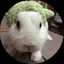 みくのプロフィール画像