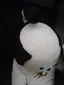 せっちんのプロフィール画像