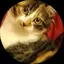 三毛猫さんのプロフィール画像