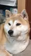 めぐみのプロフィール画像