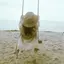 なほのプロフィール画像
