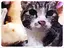 りゅーたにのプロフィール画像