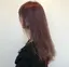 Kのプロフィール画像