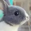 maysのプロフィール画像