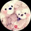 ♥のプロフィール画像