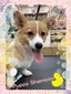 Nanaのプロフィール画像